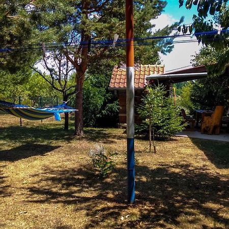 Apartment Franciska غاكوفيتسا المظهر الخارجي الصورة